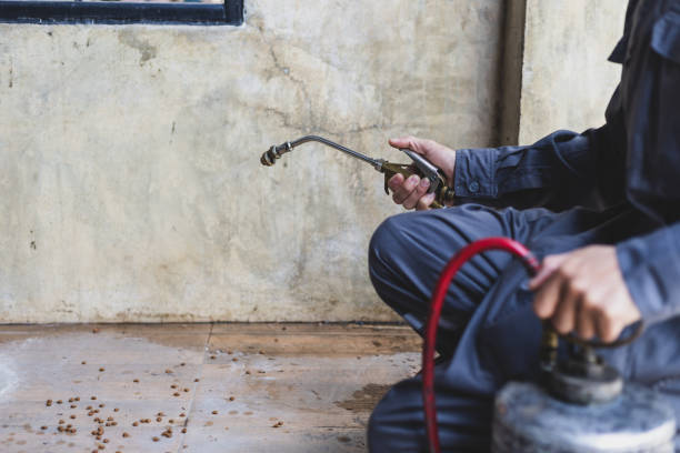 Best Pest Removal Services  in Englewood, OH
